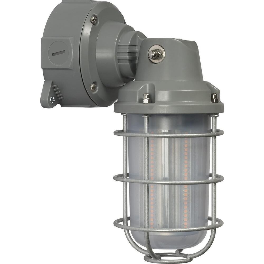 Nuvo 65/173 LED Adjustable Vapor-Tight Outdoor Security Wall Light20 Watts,5000K